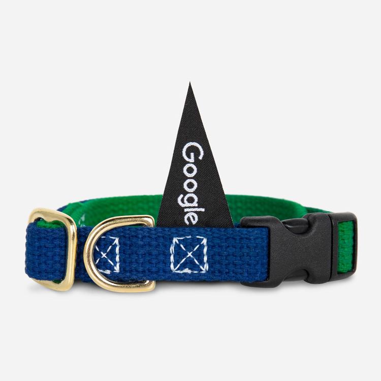 Review Of Google Medium Pet Collar (Blue/Green) $35.00