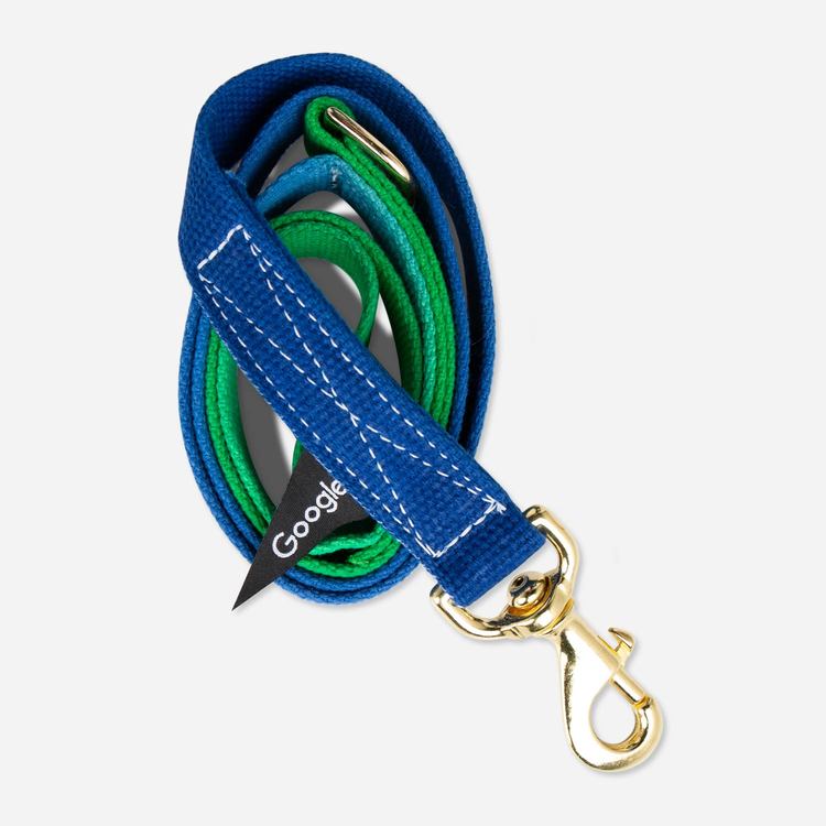 Review Of Google Large Pet Leash (Blue/Green) $35.00