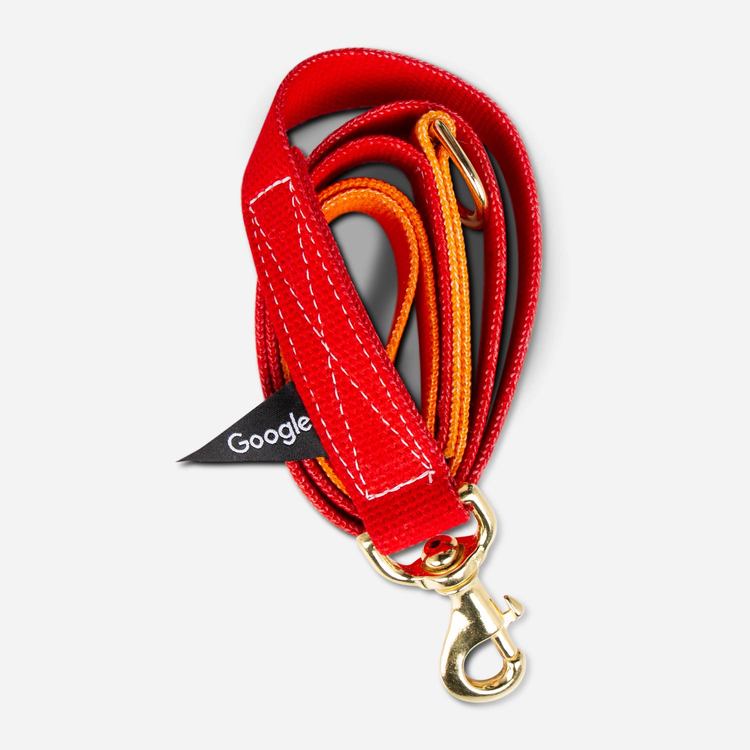 Review Of Google Large Pet Leash (Red/Yellow) $35.00